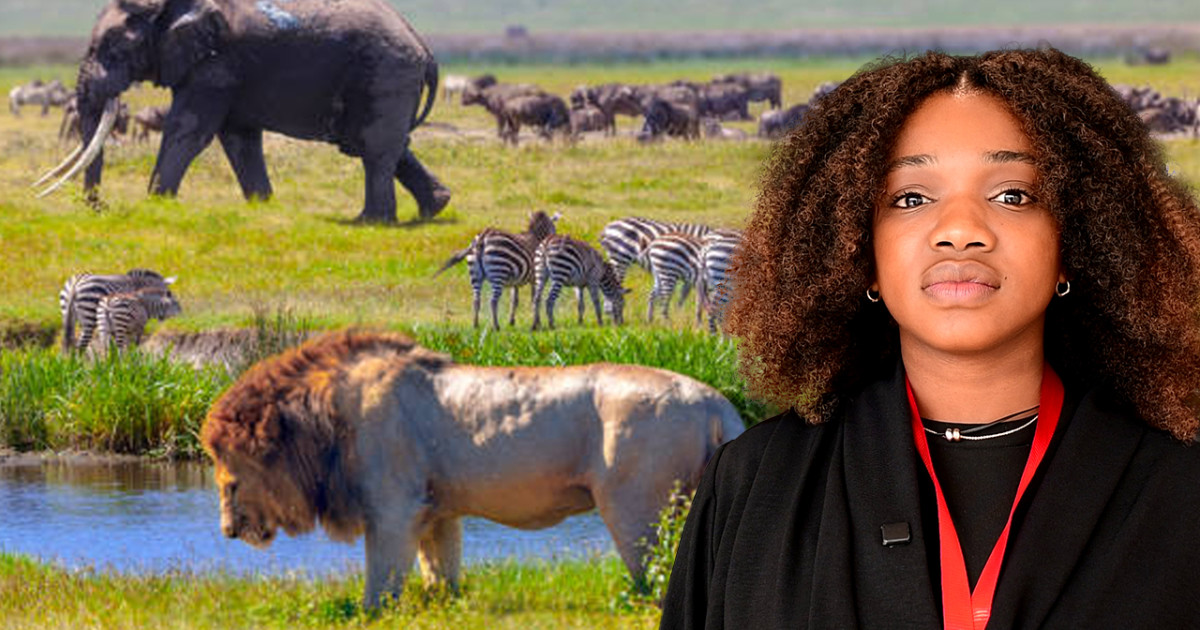 Corridors de biodiversité : en Afrique de l’Ouest, des efforts réels mais encore trop isolés