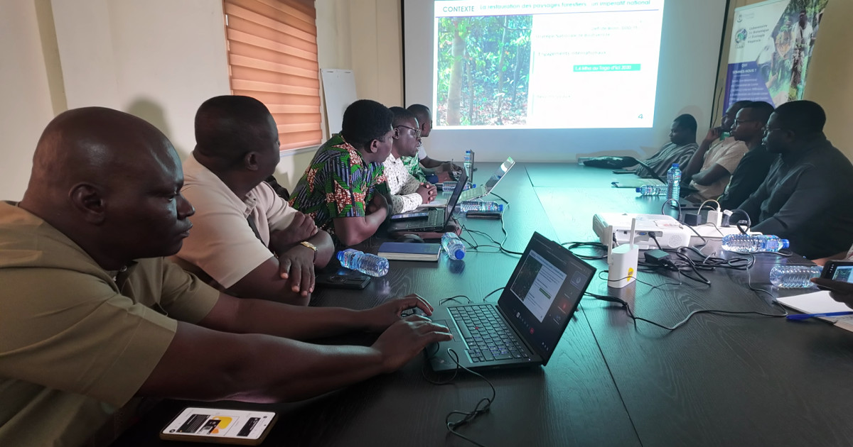 RESTAURATION DE LA BIODIVERSITÉ : Le projet ProBioUtile-Togo valide sa liste d’espèces végétales à fort impact
